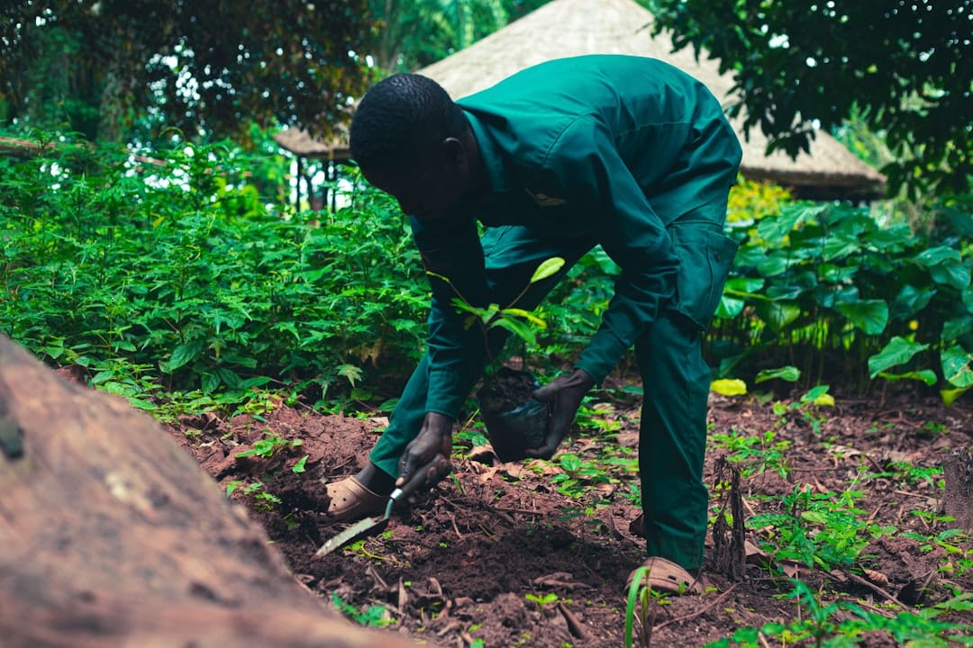 découvrez les principes du développement durable, une approche incontournable pour préserver notre planète tout en favorisant un équilibre entre croissance économique, équité sociale et protection de l'environnement.