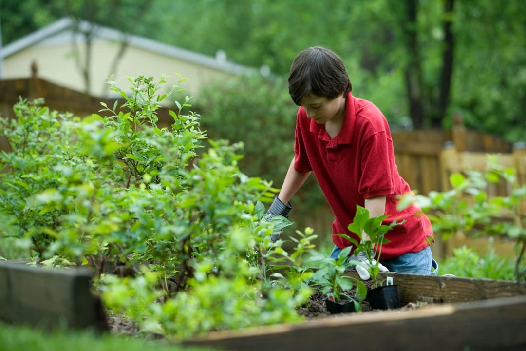 découvrez des conseils pratiques et des stratégies efficaces pour prévenir le diabète. apprenez à adopter un mode de vie sain, à maintenir une alimentation équilibrée et à intégrer l'exercice régulier dans votre quotidien pour réduire les risques de développer cette maladie chronique.