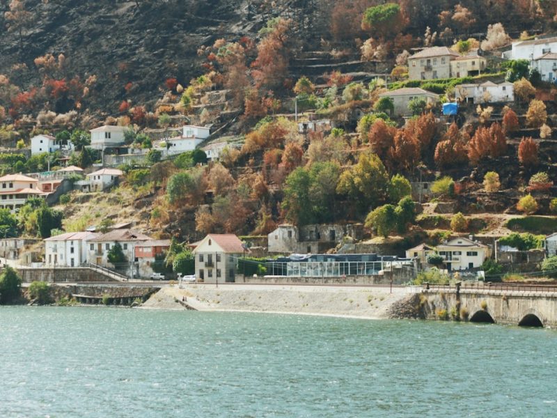 découvrez les joies du voyage en train : des paysages à couper le souffle, un confort inégalé et une façon écologique d'explorer de nouvelles destinations. embarquez pour une aventure inoubliable à bord des rails.