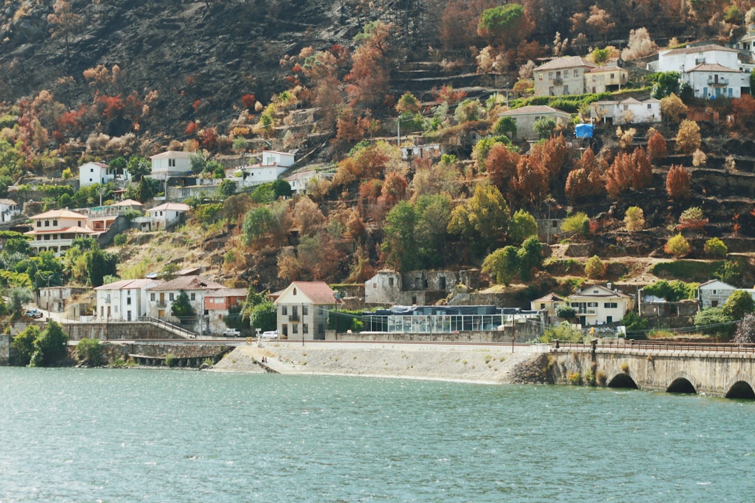 découvrez les joies du voyage en train : des paysages à couper le souffle, un confort inégalé et une façon écologique d'explorer de nouvelles destinations. embarquez pour une aventure inoubliable à bord des rails.