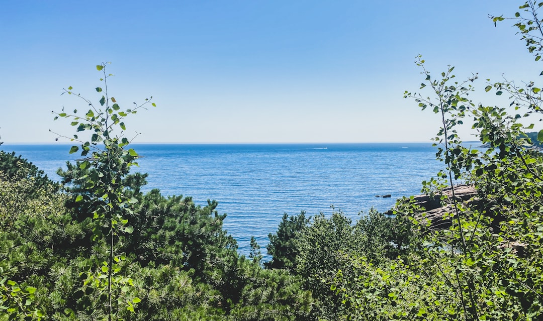 découvrez la beauté des parcs nationaux : des paysages époustouflants, une faune et une flore uniques, et des aventures en plein air pour toute la famille. explorez la nature à son meilleur et laissez-vous inspirer par la diversité de notre planète.