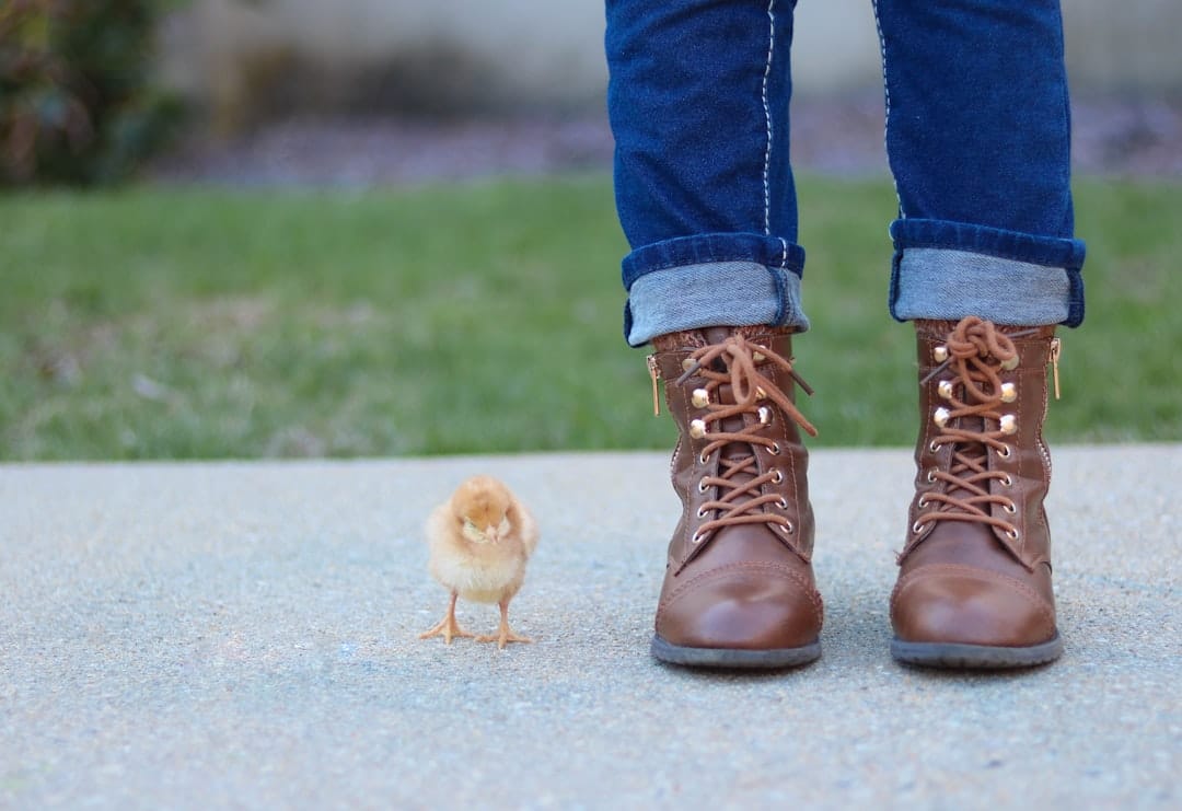 découvrez les différents styles de chaussures qui allient confort et élégance. que vous recherchiez des baskets tendance, des escarpins chic ou des bottines intemporelles, trouvez la paire parfaite pour chaque occasion.